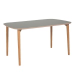 Flex table 190x100cm